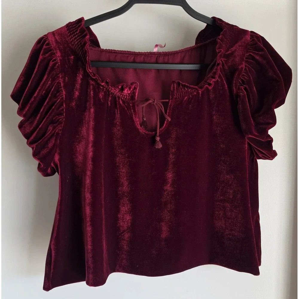 Free People XS Blouse Burgundy Velvet Short Sleeve Boxy Boho Top Whimsigoth